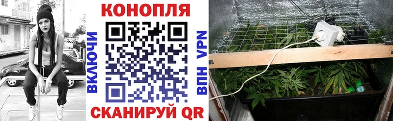 Бошки Шишки планчик  Кудрово 